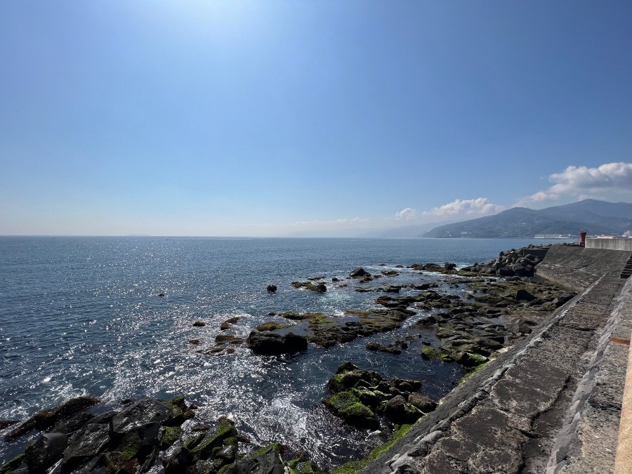 漁港の風景